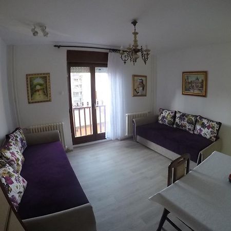 Violet Star Apartment نوفي ساد المظهر الخارجي الصورة