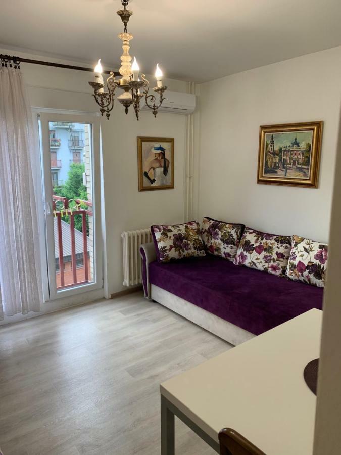 Violet Star Apartment نوفي ساد المظهر الخارجي الصورة