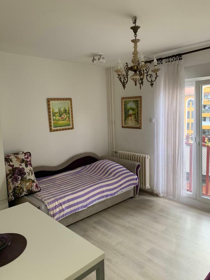 Violet Star Apartment نوفي ساد المظهر الخارجي الصورة